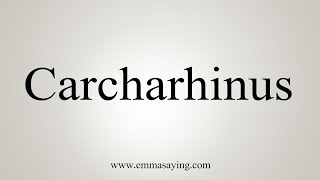 How To Say Carcharhinus [upl. by Leeanne474]