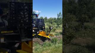 Danuser Intimidator Skid Steer Attachment [upl. by Linad553]