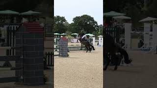 Us at hickstead qualifying for the main ring bellarose horsesaremylife competition horses [upl. by Esma]