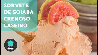 Sorvete de goiaba cremoso caseiro com emulsificante e liga neutra [upl. by Mal920]