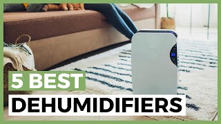 Best Dehumidifier in 2024  How to Choose a Dehumidifier [upl. by Siulegroj29]