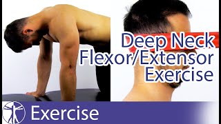 Neck Pain Exercises for aspecific Neck Pain  Deep Cervical Flexors amp Extensors [upl. by Aeneus]