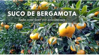 Suco de Bergamota [upl. by Nrojb]