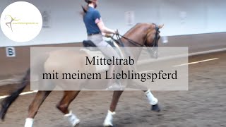 Mitteltrab mit meinem Lieblingspferd [upl. by Verneuil577]