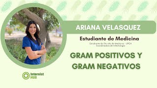 BACTERIAS GRAM POSITIVAS Y GRAM NEGATIVAS  ¡MEGA RESUMEN 🦠 [upl. by Adnorrehs]