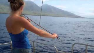 Whales Hang out to Hear Violin [upl. by Aneloj]