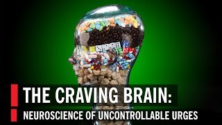 The Craving Brain Neuroscience of Uncontrollable Urges [upl. by Indnahc757]