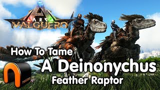 ARK How To Tame A Deinonychus Feathered Raptor NEW Valguero Dino [upl. by Eltsyrc258]