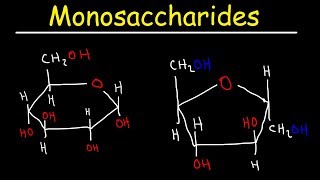 Monosaccharides  Glucose Fructose Galactose amp Ribose  Carbohydrates [upl. by Aknayirp]