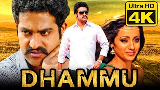 Dhammu 4K Telugu Hindi Dubbed Full Movie  Jr NTR Trisha Krishnan Karthika Nair [upl. by Anallise15]