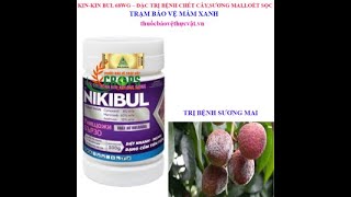 KINKIN BUL 68WG – THUỐC TRỪ BỆNH0776755793thuốcbảovệthựcvậtvn phấntrắng [upl. by Bertasi174]