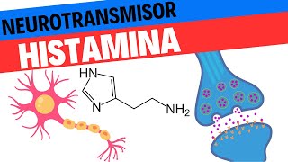 Fisiología de la HIstamina Neurociencias 14 [upl. by Gaspard]