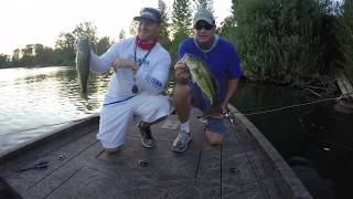 Largemouth Bass Newberg Oregon Willamette River  Doubled Up [upl. by Quickel]