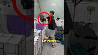 Angry Cat meets Cat Doctor 😳 [upl. by Sakmar]