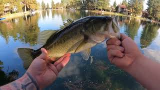 INSANE Clear water Fall Fishing [upl. by Sergias454]