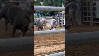 Farmville Town Rodeo🐂A cowboy had to catch the bull with a lasso at the end Sept 212024 virginia [upl. by Richlad]