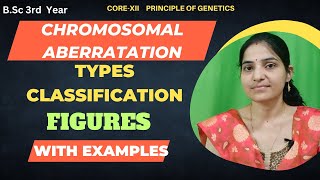 Types Of Chromosomal Aberration BSc 3rd YearChromosomal Mutation [upl. by Adeehsar]