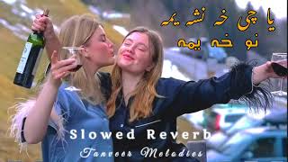 Ya che Kha nasha yama nu kha yama Pushto Classical Trending Song slowed Reverb ❤️ Tanveer Melodies 🤍 [upl. by Romie292]