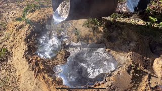 Enormous￼ Fire Ant Colony With Molten Aluminum Anthill Art 2 [upl. by Akessej]