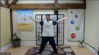 Qigong The 8 Brocades and Five Element Blend [upl. by Nitsirt]