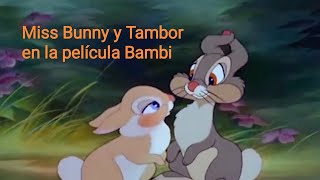 Escena de amor de Miss Bunny y Tambor en la película n° 5 de Disney quotBambi [upl. by Aidnic]