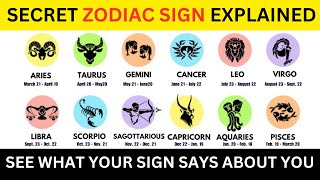 Every Zodiac signs explained in 8 Minutes zodiacsigns [upl. by Pallaten]