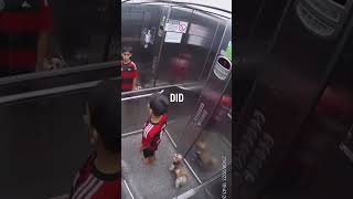 Young Kid Saves Dogs Life [upl. by Mikah]