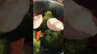 Mahi Mahi Insta pot Dinner for Batman fyp cooking eating eatingshow pets foodie food shorts [upl. by Vallo936]