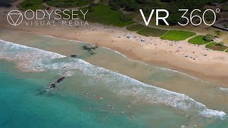 Hapuna Beach Virtual Tour  VR 360° Travel Experience  Big Island Hawaii Hawaii [upl. by Val]