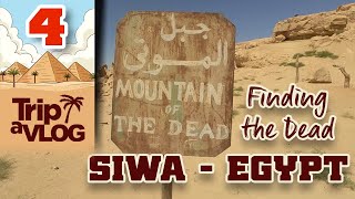 EGYPT  4  Siwa The Egyptian desert oasis city [upl. by Post534]