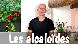 Les plantes à alcaloïdes  fautil en avoir peur [upl. by Dranel]