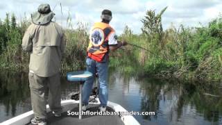 Everglades Bass Fishing Guides Catching Big Bass In Florida [upl. by Oderfla]