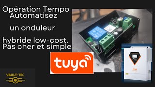 Module wifi controle onduleur hybride [upl. by Nnylaehs]