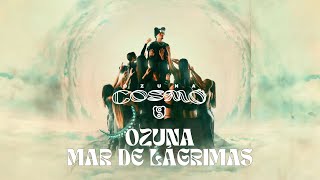 Ozuna  Mar De Lágrimas Visualizer Oficial  COSMO [upl. by Ynnij]