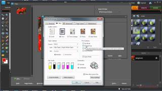 Photoshop Elements  How to use printer color profiles with Photoshop Elements Epson [upl. by Duston]