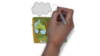 Geography  Ecosystem amp The Environment Geography Exam Tips [upl. by Winthrop]