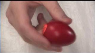 Wooden Egg Shaker PER169 [upl. by Dulla292]