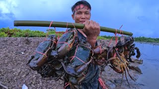 Amazing  The Traditional Way of Catching Lots of Big Mud Crab In The Swamp [upl. by Firehs]