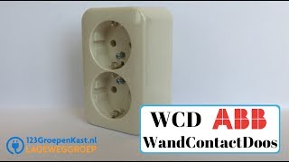 ABB WandContactdoos WCD  Dubbele Opbouw contactdoos  Bush Jaeger Stopcontact  123GroepenKastnl [upl. by Ailehs]