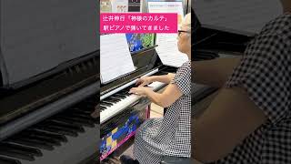 67歳の駅ピアノ！辻井伸行 神様のカルテ を弾いてみた【Nobuyuki Tsujii 】 [upl. by Vish]