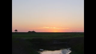 Mornings over Lake Okeechobee [upl. by Nanreh350]