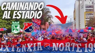 🔥GRAN CARAVANA RXN PREVIO AL CLÁSICO  Nacional 1 vs 1 DIM  Liga Betplay 2024 [upl. by Niuqram]