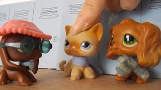 What If LPS Popular Was Realistic [upl. by Silverman]