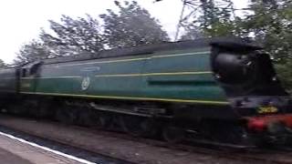 Steam Trains of Southern Railway [upl. by Wesa]