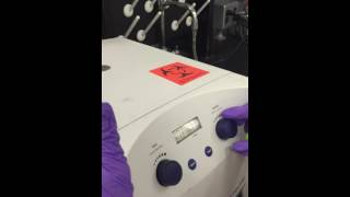 LAB use centrifuge to get cell pellet for DCW [upl. by Terence]