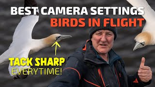 Best Camera Settings for Birds in Flight [upl. by Parke]