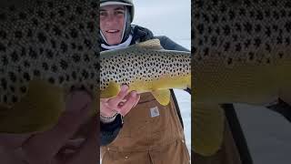 Who is EXCITED about ICE FISHING fishing icefishing trout fish troutfishing troutbum [upl. by Avraham553]