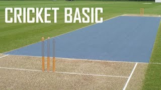 Cricket Basic Parameters  Cricket Fielding Positions  Batting Shots in Cricket [upl. by Nnaharas203]