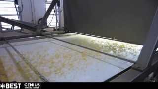 Corn sorting machine Genius  TOMRA Sorting [upl. by Ocin]