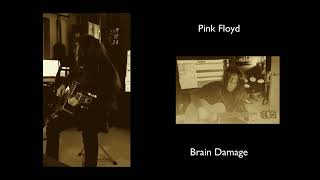 Brain Damage  Pink Floyd cover [upl. by Livvie]